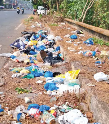 Colva's Coastal Belt Plagued by Illegal Roadside Dumping, Threatening Health & Water