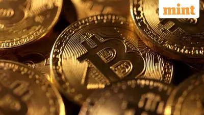 Crypto's Hard-Won Acceptance Now Fuels Its Market Decline and Wider Risks