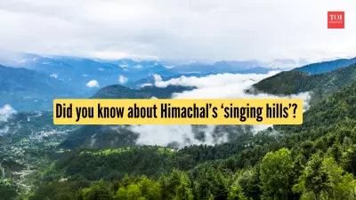 Dainkund: The Singing Hills of Dalhousie Where Mountains Breathe