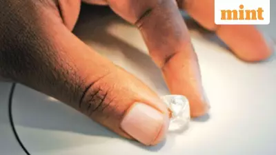 De Beers Confident on Natural Diamonds in India Despite Titan's Lab-Grown Push