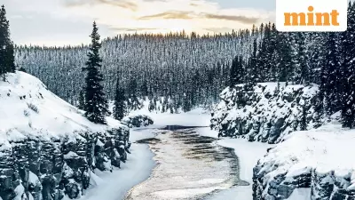 Discovering Yukon's Winter Magic: From Whitehorse Warmth to Northern Lights