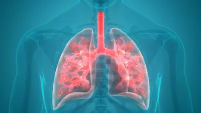 Doctor's Warning: Air Pollution is a Silent Health Crisis, Here's How to Fight Back