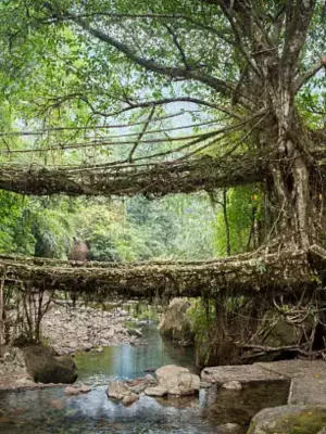 Eight Must-Visit Bridges in India for Travel Enthusiasts