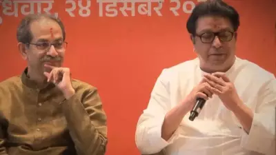 Fadnavis Slams Thackeray Cousins, Says BMC Polls About Their Survival, Not Marathi People