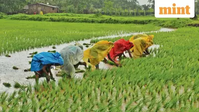 Govt to Double Digital Agri Mission Funds to ₹7,500 Crore for AI Push in Farming
