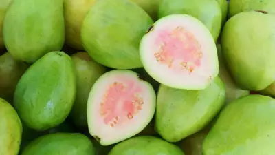 Guava's Winter Peak: 7 Science-Backed Health Benefits & Nutritional Profile Revealed