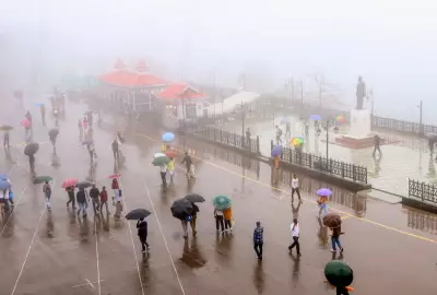 Himachal Braces for Snow and Rain from January 16 to 20