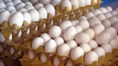 How to Spot Fake Eggs: Simple Tests to Ensure Your Eggs Are Real and Safe