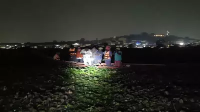 Hyderabad DRF's Midnight Rescue: 9 Workers Saved from Crocodile-Infested Mir Alam Tank