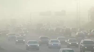 IIT Madras Study: Air Pollution Makes North India's Winter Fog 20% Thicker