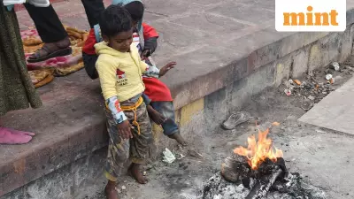 IMD Cold Wave Alert: North, Central India to Shiver Till Jan 9-11