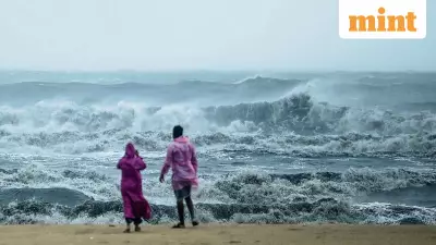 India Needs Its Own Marine Carbon Removal Research to Protect Coastal Future