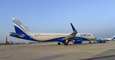 IndiGo Flight Makes Emergency Landing in Varanasi After Bird Strike, 216 Passengers Safe