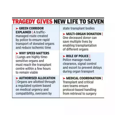 Jalna Student's Tragic Death Saves 7 Lives Through Organ Donation in Pune