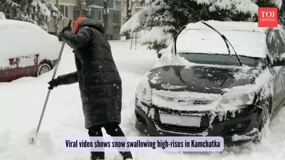 Kamchatka's Snow Crisis: When Winter Wonderland Turns Deadly