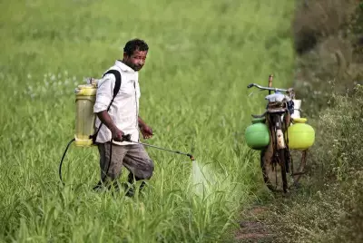 Karnataka CM Urges PM Modi for Bengal Gram Procurement Under Price Support Scheme