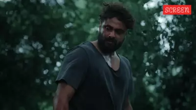 Kattalan Teaser Unleashes Wild Action: Antony Varghese Battles Elephant and Goons