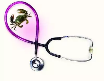 Kerala CM Pinarayi Vijayan Urges Open Fight Against Breast Cancer, 1 in 9 Women at Risk