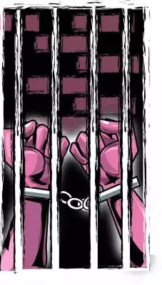 Kerala Govt's Selective Prisoner Release Sparks Remission Policy Debate