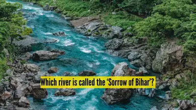 Kosi River: The 'Sorrow of Bihar' - A Tale of Fertility and Destruction