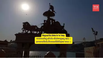 Krishna's Wisdom for Modern Life: How to Handle Office Wins & Losses