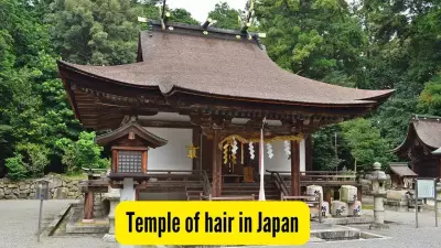 Kyoto's Mikami Shrine: Japan's Unique Temple for Hair Growth & Beauty