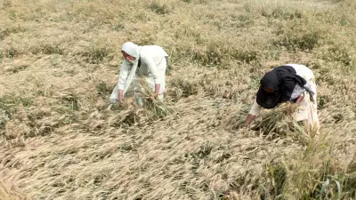 Maharashtra Women Farmers Demand Recognition and Land Rights at Key Stakeholder Consultation