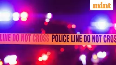 Maine Plane Crash: 7 Dead, 1 Injured as Business Jet Crashes During Takeoff in Snowstorm