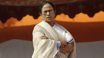 Mamata Banerjee Postpones Delhi Anti-SIR Protest Trip After Pawar's Death, Kolkata Fire