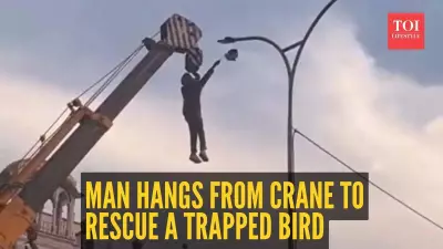 Man Risks Life on Crane to Rescue Bird Trapped in Wires; Video Goes Viral