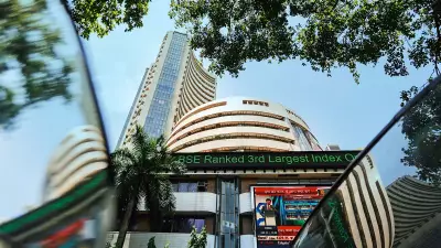 Market Rebounds: Force Motors, SBFC Finance Lead Top Gainers on Jan 12