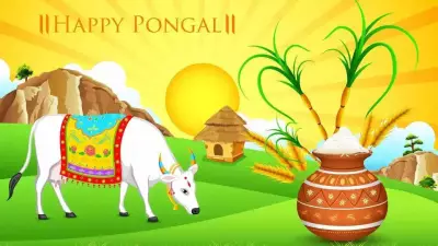 Mattu Pongal 2026: Celebrating Cattle and Harvest in South India