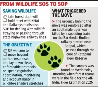 MP to Frame SOP After Cheetah, Tiger Deaths on Roads & Railways