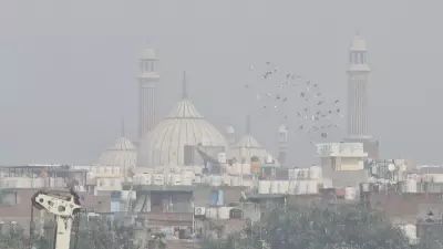 My Neighbors Taught Me That Acceptance Grows Through Small Daily Acts of Openness