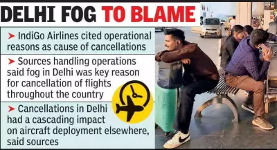 Nagpur Airport: Over 30 Daily Flights, Yet Monthly Cancellations Surpass Daily Schedule