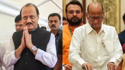 NCP Factions Unite for Maharashtra Local Body Elections in 2026