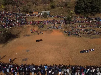 Nepali Villagers Fight to Preserve Ancient Bull Fighting Tradition