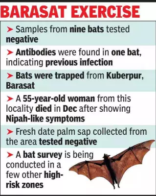 Nipah Virus Sero-Surveillance in Kolkata: Antibodies Found in Bat, No Active Infection