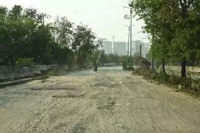 Noida's Yamuna Pushta Road Project: High-Level Meet Seeks Solutions for 30km Expressway