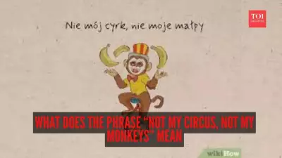 Not My Circus, Not My Monkeys: The Polish Proverb Conquering English