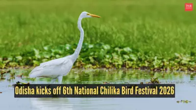 Odisha Inaugurates 6th National Chilika Bird Festival 2026, Eyes Global Eco-Tourism