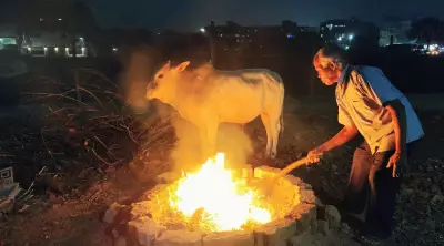 Odisha's Jharsuguda Hits 5.1°C, Coldest January Day in 73 Years