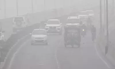 Patna Under Orange Alert: IMD Warns of 2 Days of Intense Cold Day Conditions