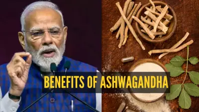 PM Modi Highlights Ashwagandha's Global Rise: 4 Simple Ways to Add This Ayurvedic Herb to Your Diet