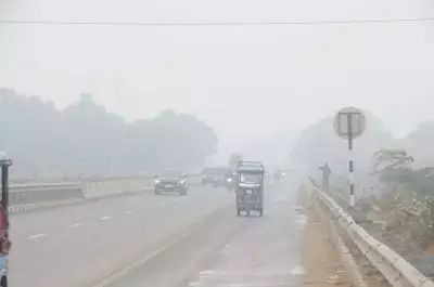 Rajasthan Gripped by Cold Wave: Dense Fog, Isolated Rain Disrupt Life