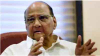 Sharad Pawar Breaks Silence on NCP Reunification Talks, Says Process May Be Discontinued