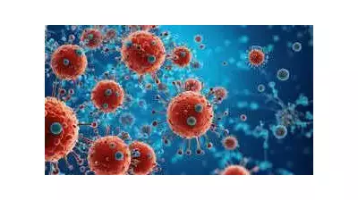 Tamil Nadu Boosts Nipah Virus Surveillance After West Bengal Cases