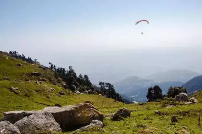 Tandem Paragliding Pilot Injured in Kullu Tree Mishap, Tourist Unhurt