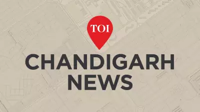 Tarn Taran Tragedy: Newlyweds Die of Suffocation Trying to Keep Warm