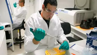 Teen Brain Builds New Synapse Hotspots, Not Just Prunes Old Connections